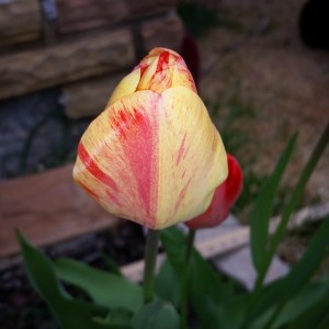 Every season brings new beginnings and new life. 