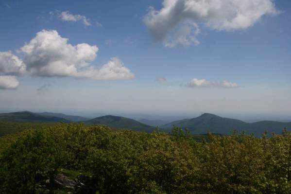 FB_IMG_1433973309555.jpg image