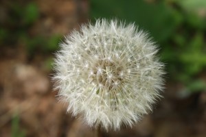 Stop wishing and do something about it!  Lets fight together!